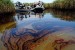 largest-oil-spill-marshes